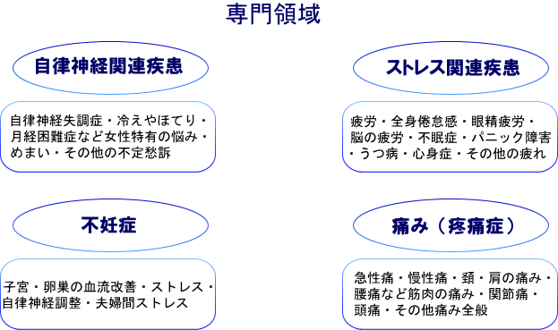 専門領域:自律神経関連疾患・自律神経失調症、冷えやほてり、月経困難症など女性特有の悩み、めまい、その他の不定愁訴/ストレス関連疾患・疲労、全身倦怠感、眼精疲労、脳の疲労、不眠症、パニック障害、うつ病、心身症、その他の疲れ/不妊症・子宮や卵巣の血流改善、ストレス、自律神経調整、夫婦間ストレス/痛み(疼痛症)・急性痛、慢性痛、頚や肩の痛み、腰痛、関節痛、頭痛、その他痛み全般
