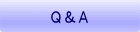 Q&A